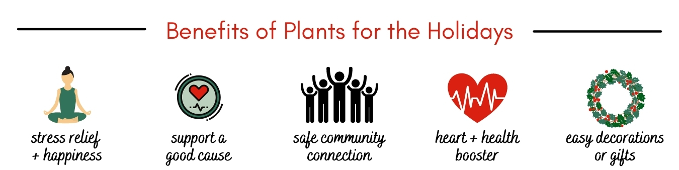 Benefits_of_Plants